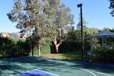 Enlarge photo 424