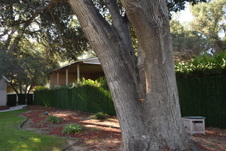 Enlarge photo 425