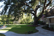 Enlarge photo 445