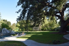 Enlarge photo 446