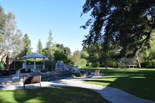 Enlarge photo 447