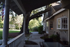 Enlarge photo 467