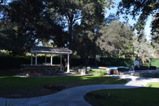 Enlarge photo 473