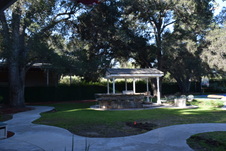 Enlarge photo 474