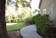 Enlarge photo 479