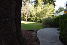 Enlarge photo 480