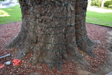 Enlarge photo 481