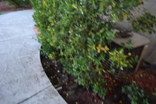 Enlarge photo 489