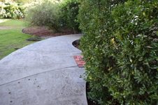 Enlarge photo 490
