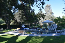 Enlarge photo 494