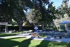 Enlarge photo 495