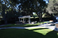 Enlarge photo 497