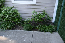 Enlarge photo 522