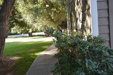 Enlarge photo 556