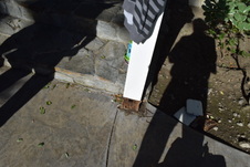 Enlarge photo 570