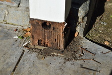 Enlarge photo 572