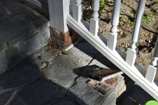 Enlarge photo 577