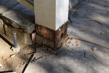 Enlarge photo 583