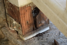 Enlarge photo 584
