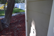 Enlarge photo 616