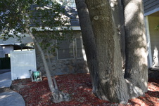 Enlarge photo 654