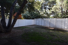 Enlarge photo 672