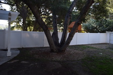 Enlarge photo 673