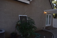Enlarge photo 676