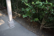 Enlarge photo 680