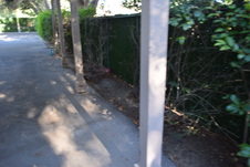 Enlarge photo 681