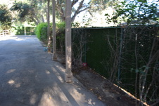 Enlarge photo 682