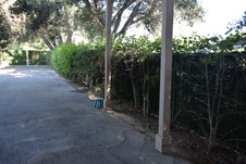 Enlarge photo 683