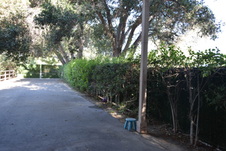 Enlarge photo 684