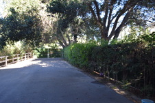 Enlarge photo 685
