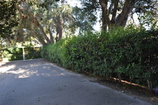 Enlarge photo 687