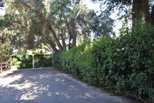 Enlarge photo 688