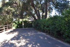 Enlarge photo 689