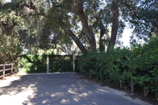 Enlarge photo 690