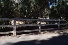 Enlarge photo 695