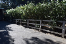 Enlarge photo 697