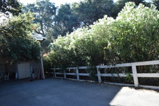 Enlarge photo 700