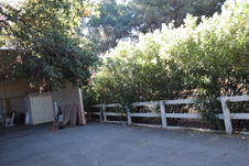 Enlarge photo 702