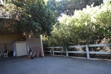 Enlarge photo 703