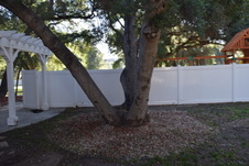 Enlarge photo 722