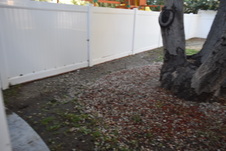 Enlarge photo 727