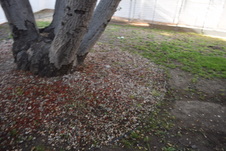 Enlarge photo 728