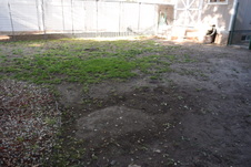 Enlarge photo 729