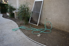 Enlarge photo 735
