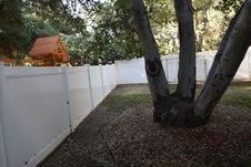 Enlarge photo 740