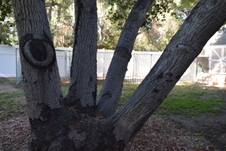 Enlarge photo 743